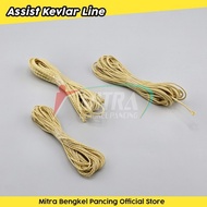 Kevlar Assist Line Assist Thread MBPHOOK
