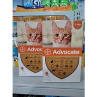 Advocate Cat 1-4 KG 1tube Cat Lice Drops