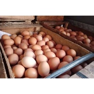 Banyakyangcari Telur Ayam 1 Peti Isi 10 Kg (Khusus Gojek) Blt05