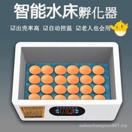 Incubator Incubator Intelligent Small Water Bed Egg Incubator Mini Household Fully Automatic Small Chicken Duck Goose Incubator