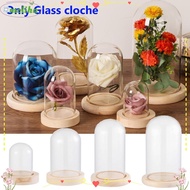 MOLIHA Glass cloche Home Decor Fairy Lights Glass Vase Jar Transparent Bottle Flower Storage box