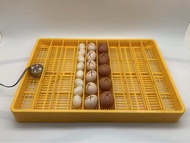 Khay Đảo Trứng Tự Động Ánh Dương 56 Trứng