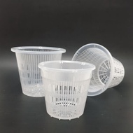Orchid Hydroponics Aroid Pot Planter M size 14cm (Transparent)