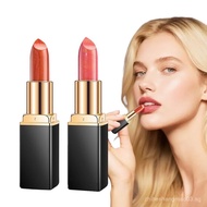 Diamond Glitter Lipstick, 2025 New Diamond Lip Gloss Glitter Lipstick Waterproof, Gloss Shiny Matte 