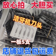 Dental Material Disposable Dental Scaler Cutter Head Pointed Flat Head Dental Scaler Head Oral Denta