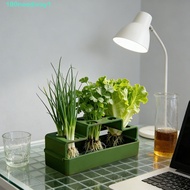 NEEDWAYJ Sprout Planting Pot, Plastic Lettuce Chives Seedling Tray, Ease to Clean Celery Coriander V