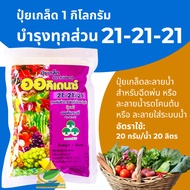 Yvp Foliar Spray Granular Fertilizer Formula 21-21-21 General Plant Nourishment (1 Kilogram) Nourish