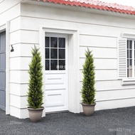 Cypress Ornaments Home Potted Plant Kai Fake Tree Decoration Detachable Pine Cypress Brocade Green P