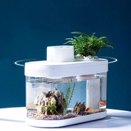Amphibian Ecological Aquarium Smart Fish Tank Box Automatic Feeder Lighting Effect