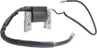 Autu Parts 595291 796500 Ignition Coil Fits for Briggs & Stratton 111P02 112P02 11P902 121Q02 121Q42