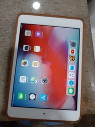 iPad mini 2 (16G)