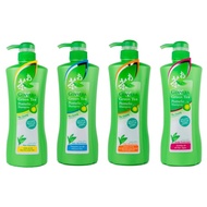 GINVERA Bundle of 3 - Green Tea Shampoo 750g (Dry/Normal/Oily/Scalp Care)