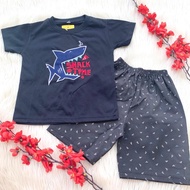 Daily t-shirt and pants set with cute motifs, fashion for babies 1-3 years old, boys -tim