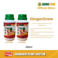 AGROSTAR - GingerGrow - Unique Formulation to Meet Ginger Needs Complete A + B Formula (2 x 250ML) B