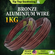 1kg Bronze Color Aluminium Wire Bonsai Wire Modeling Aluminum Wire Dawai