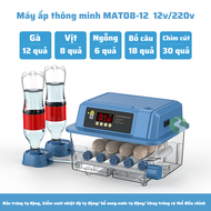 Máy ấp trứng gà mini máy ấp trứng tự động thông minh Dương Ninh hiện đại thế hệ mới 220/12v A1234