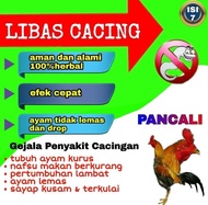 obat cacing ayam bangkok