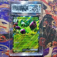 Real Japanese card painting Arboliva ex 012/098 BANDAI 10 point d70 slab frame 53 psa