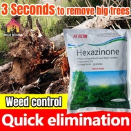 【3 seconds to remove big trees】herbicide to kill tree,hexazione which can effectively kill big trees