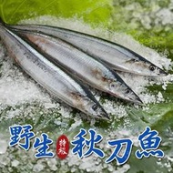 【艾宏】野生特級秋刀魚 2隻裝／冷凍食品／海鮮／肉類
