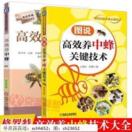圖說高效養中蜂關鍵技術+高效養中蜂 養蜂技術圖解 養蜂書籍大全 高效養蜂技術 養蜂技術書 中蜂養殖技術書籍 書 正