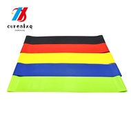 OUREAPH 5pcs Resistance Loop Band, 30 x 5cm Multi-Level Resistance Exercise Band Set, Versatile TPE 