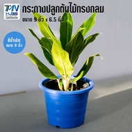 กระถางปลูกต้นไม้พลาสติก ทรงกลมปกติ ขนาด กว้าง 9 นิ้ว สูง 6.5 นิ้ว มี 9 สี ราคาโรงงาน กระถางพลาสติก ก