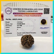 6 Mukhi (6 Face) Lab Certified Original Rudraksha Bead