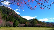 Vé Khu Giải Trí Rừng Quốc Gia Aowanda ở Nam Đầu (Nantou)