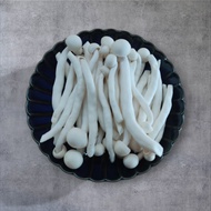 白精靈菇 (約150克)