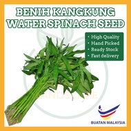 Benih Sayur Kangkong Kangkung Water Spinach Vegetable Seed