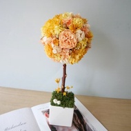 不凋繡球花球樹盆花【橙花閃耀】開幕禮/新居/名片座/客製化