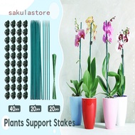 Plant Support Plant Clips 30 cm Plant Stakes Green Flower Sticks with Plant Ties for Home Garden Climbing Plant