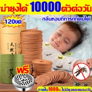 ได้กลิ่นแล้วตาย ธูปกันยุง 120 วง มีอย.รับรอง ธูปฆ่ายุงตาย10000ยากันยุงแบบขดมีอย ธูปสมุนไพร ผลิตจากวั