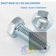12 X 30 NUT BOLT 12 X 30 GALVANIZED NUT BOLT/ 12 X 30 NUT BOLT/