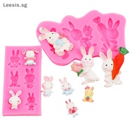 Readystock Rabbit Series Silicone Mold Small Rabbit Hug Radish Jelly Chocolate Pudding Mousse Cake Decoration Mold SG