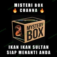 MISTERI BOX CHANNA SULTAN (Auranti, Stewarti, Red barito, Dll)