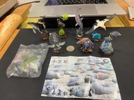L 二手 小笠原諸島 NTC 整套8隻含隱藏版 扭蛋 轉蛋 動物 場景 公仔 奇譚 世界自然遺產 座頭鯨 黃鸝鳥 寄居蟹
