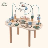 Montessori Wooden Toys Educational Wooden Toys for 1 Year Old Children