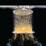 Clear Arcylic Aquarium Fish Feeder Anti-drift Shrimp Egg Fish Food Feeding Ring Betta Fish Tank Feed