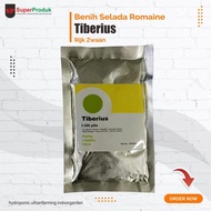 Benih Selada Romaine Tiberius RZ Rijk Zwaan isi 2500 pills