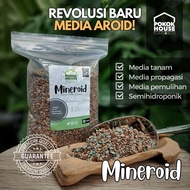 Mineroid (2L) - premium mineral based potting mix for Monstera, Philodendron, Anthurium, Epipremnum, Alocasia