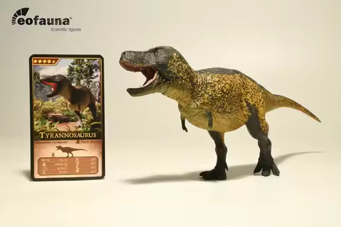 Eofauna 1:35 Scale Tyrannosaurus SUE Model Dinosaur Animal Statue Collection Scene Decoration Birthd