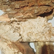 Bark for Isopod beddings