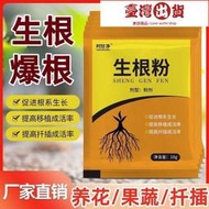 【全場滿299發貨】生根劑 生根 生根壯苗發根劑果樹沖施肥植物通用花卉移栽樹木扦插快速生根竹
