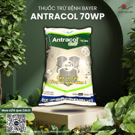 Thuốc trừ bệnh ANTRACOL 70WP (100g-1kg) - Propineb 700g/kg Áo giáp kẽm ngừa Đốm đen Thán thư Thối cổ