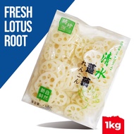 Fresh Lotus Root 1.5kg