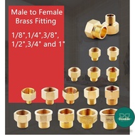 DG 1pcs G1/8" 1/4" 3/8" 1/2" Male to Female Thread Brass Pipe Connectors Brass Coupler Adapter OTO