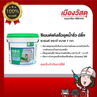 JORAKAY Crocodile Cement Plug Quick Water Leakage Dries Quickly In Just 3 Minutes. By scg warin City