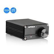 RC AIYIMA TPA3116 100W Subwoofer Audio Amplifier TPA3116D2 Mono Digi